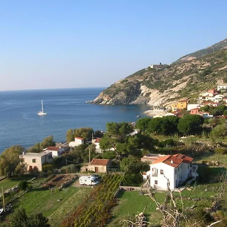 Orlando Vista Panoramica Isola D'elba Pomonte